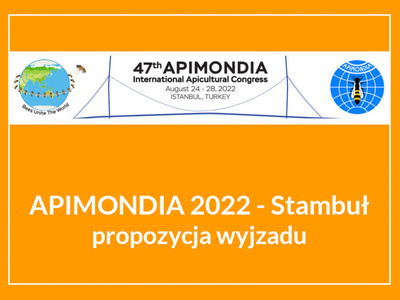 napis APIMONDIA 2022 - Stambuł - propozycja wyjazdu i logo konferencji